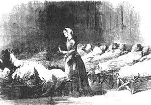 Inline image