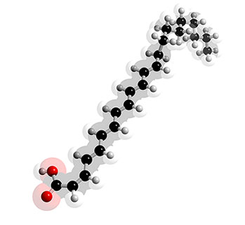 Picture of Docosahexaenoic acid